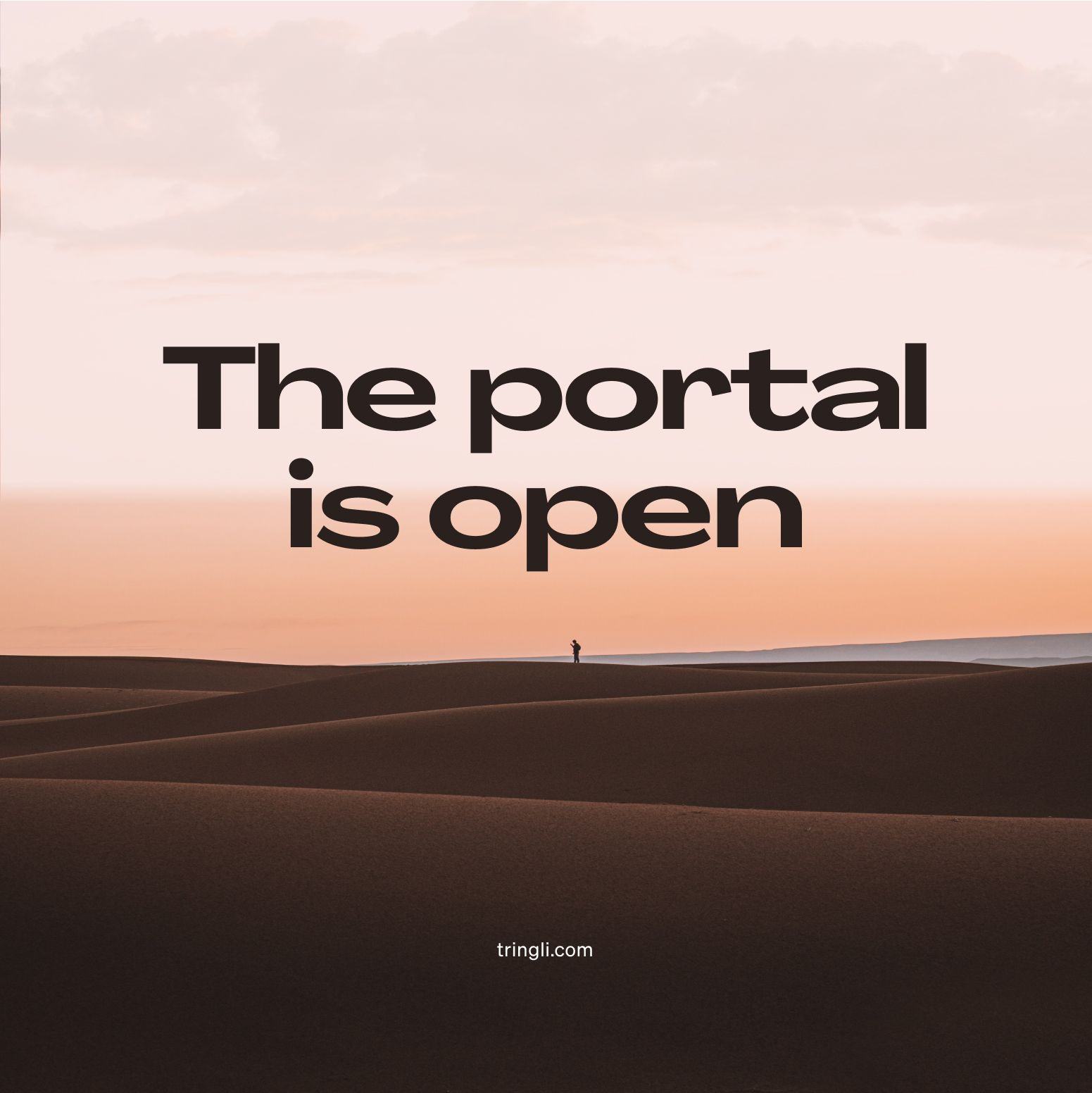 Tringli The Portal is Open Poster
