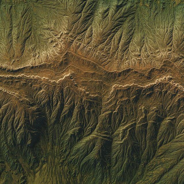 Self Studio, Letter D